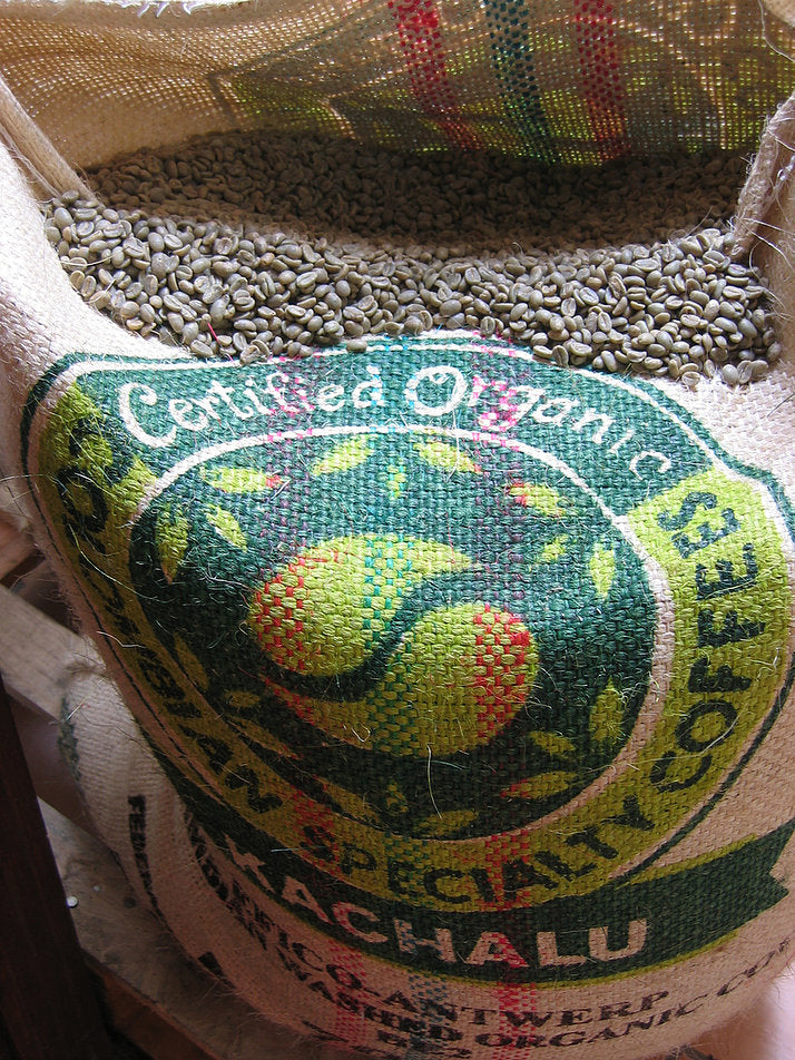 Café vert bio - Puissant processus de détoxination - 1KG - Jade Recherche