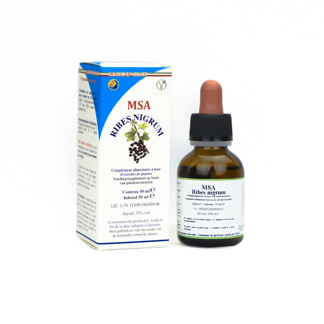 MSA RIBES NIGRUM - 50ml - Herboplanet