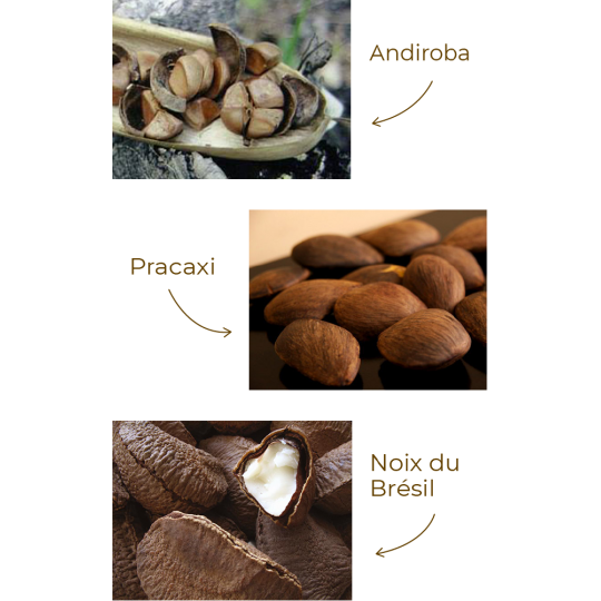 Huile Fondante - Nettoie et démaquille - Visage et yeux