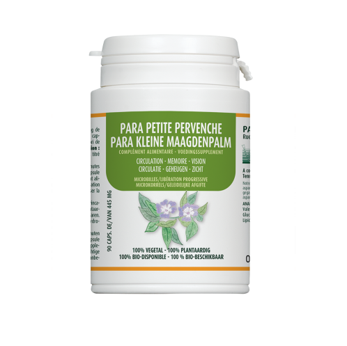Para Petite Pervenche
