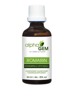 Romarin - Santé hépatique et biliaire, tonique nerveux