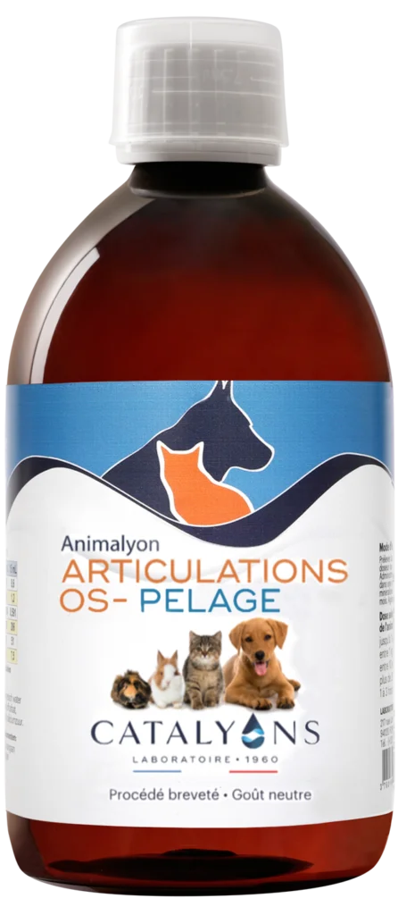 Animalyon Articulation - Pelage - Os