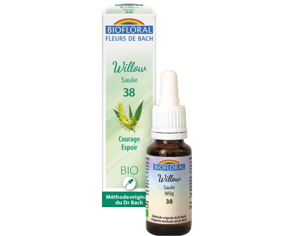 Saule - Willow (n°38) BIO, 20 ml