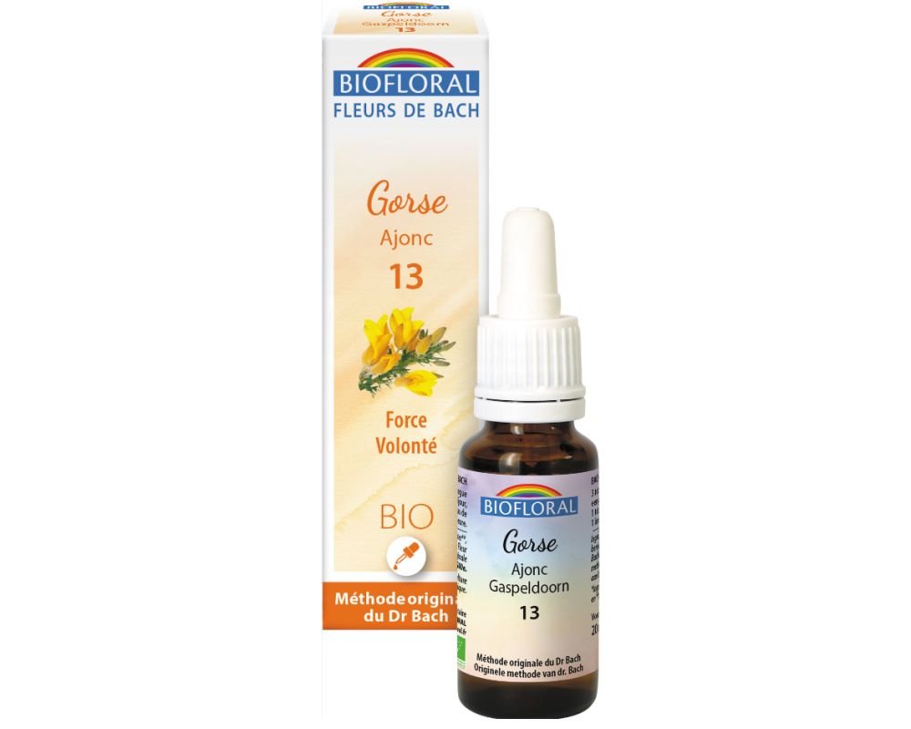 Ajonc - Gorse (n°13) BIO, 20 ml