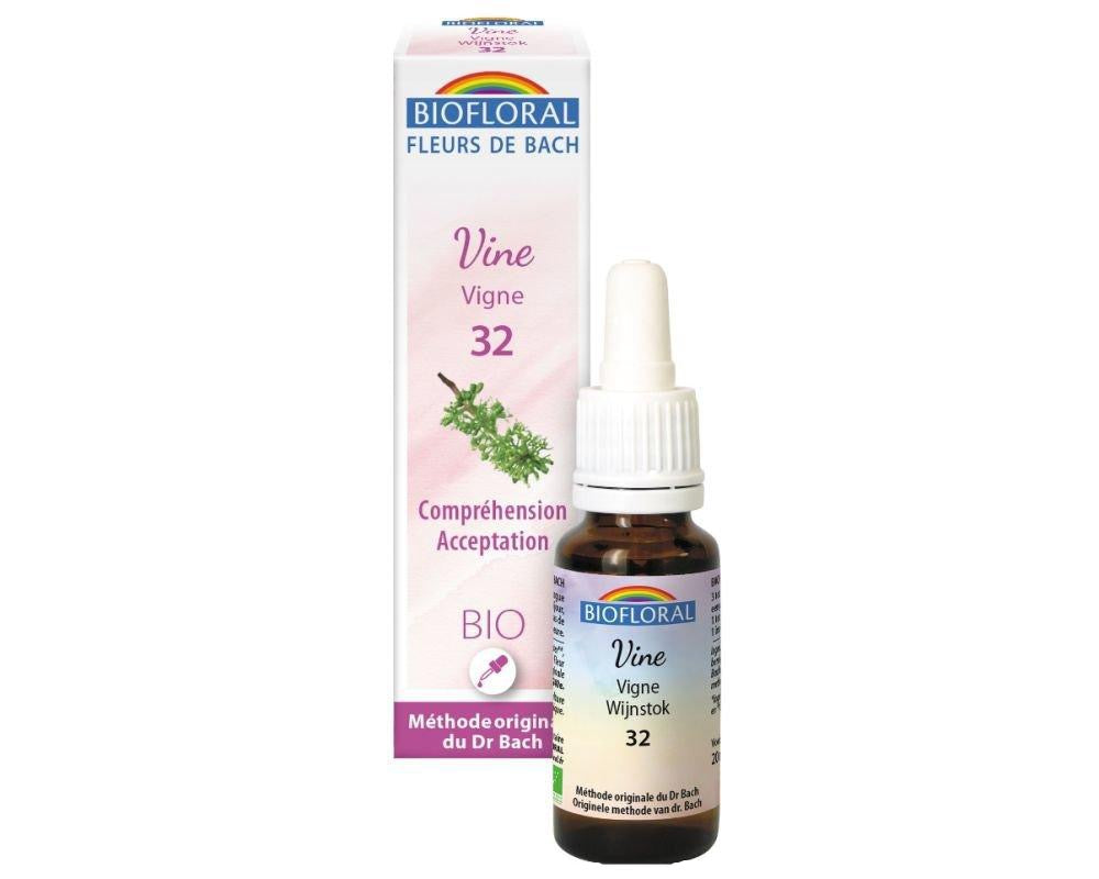 Vigne - Vine (n°32) BIO, 20 ml