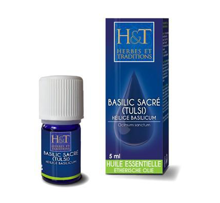 BASILIC SACRÉ Ocimum sanctum