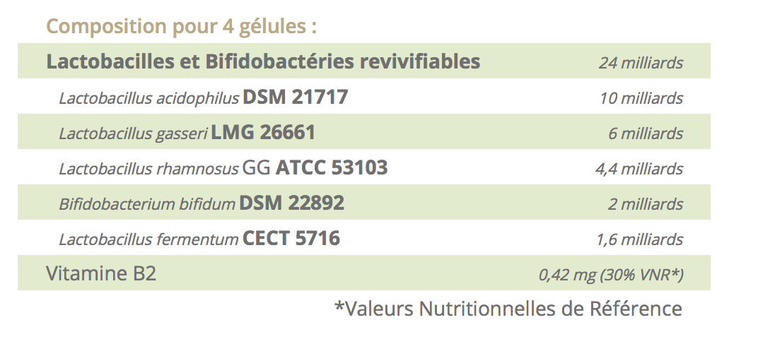 Ergyphilus Fem