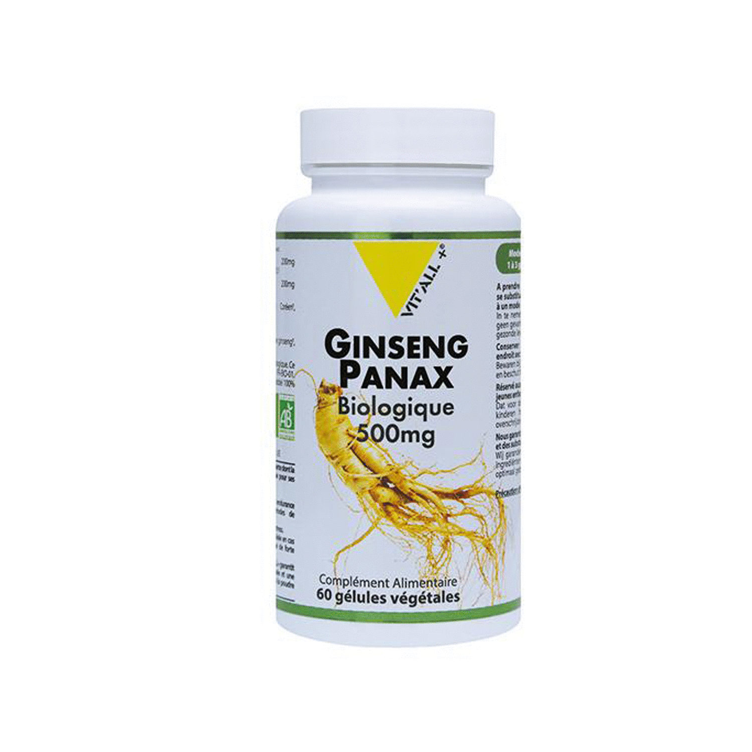 Ginseng Panax  bio - Vitalité, bien-être physique et mental.