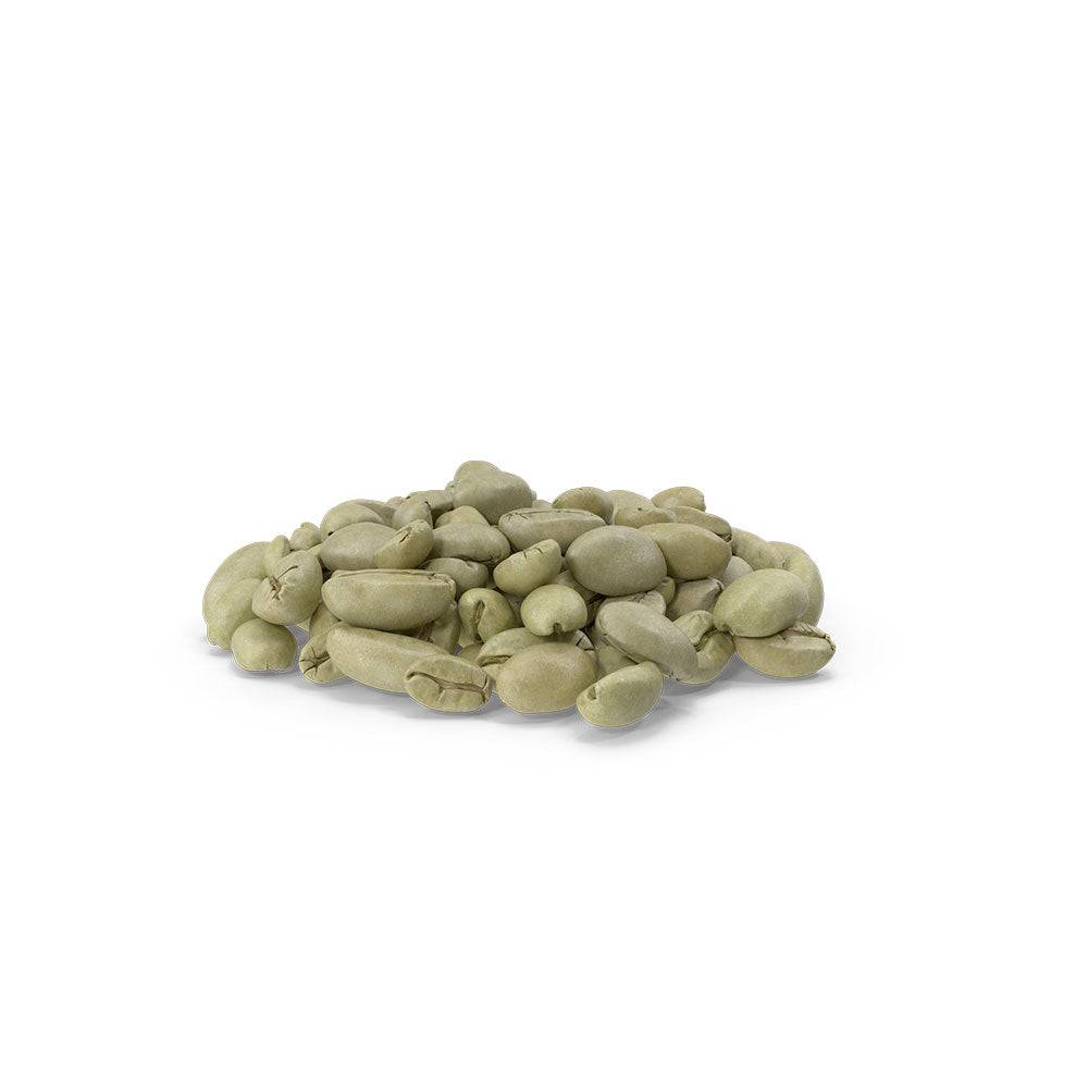 Café vert bio - Puissant processus de détoxination - 1KG - Jade Recherche